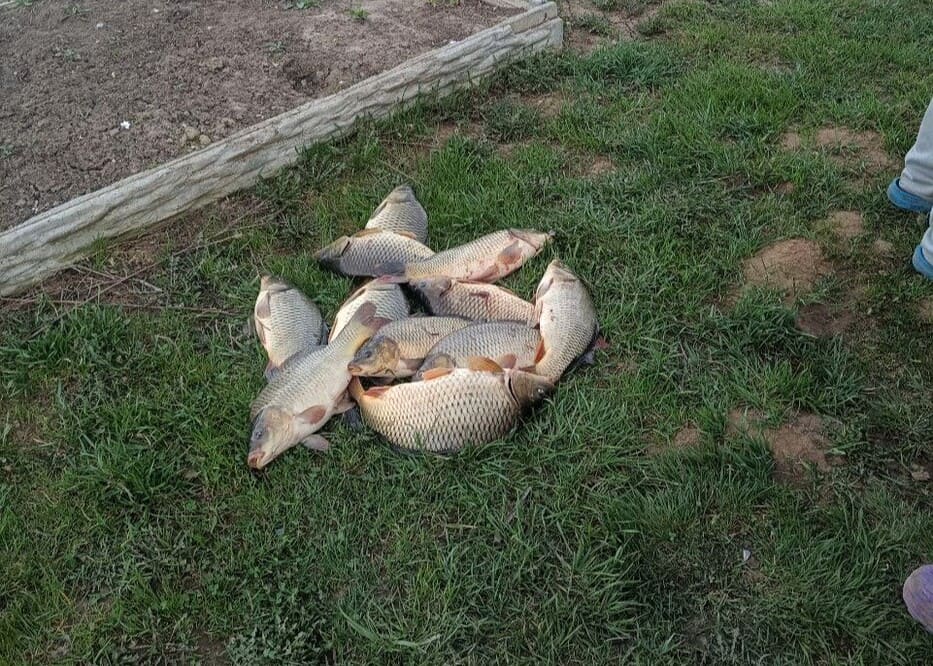 Продажа офиса  